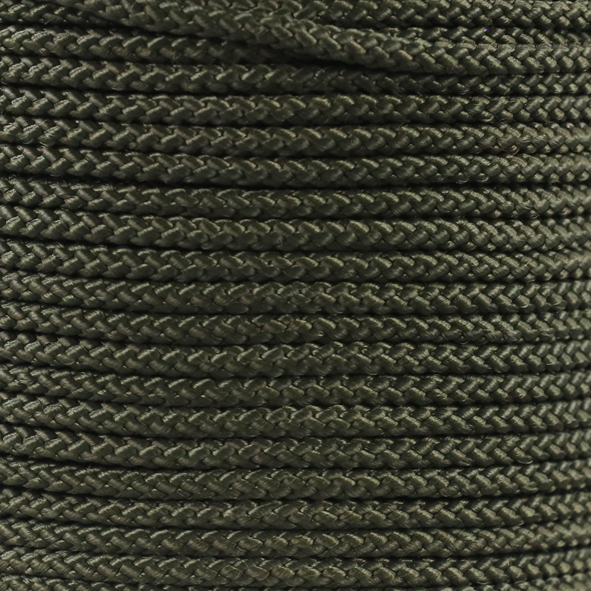 1 16 Olive Closeup