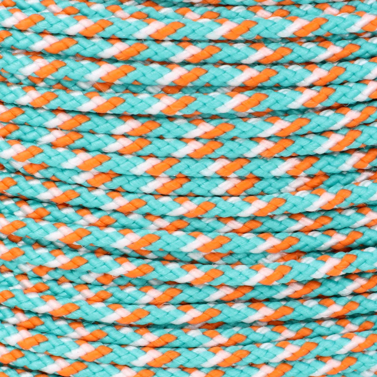 1 16 Dolphin Closeup