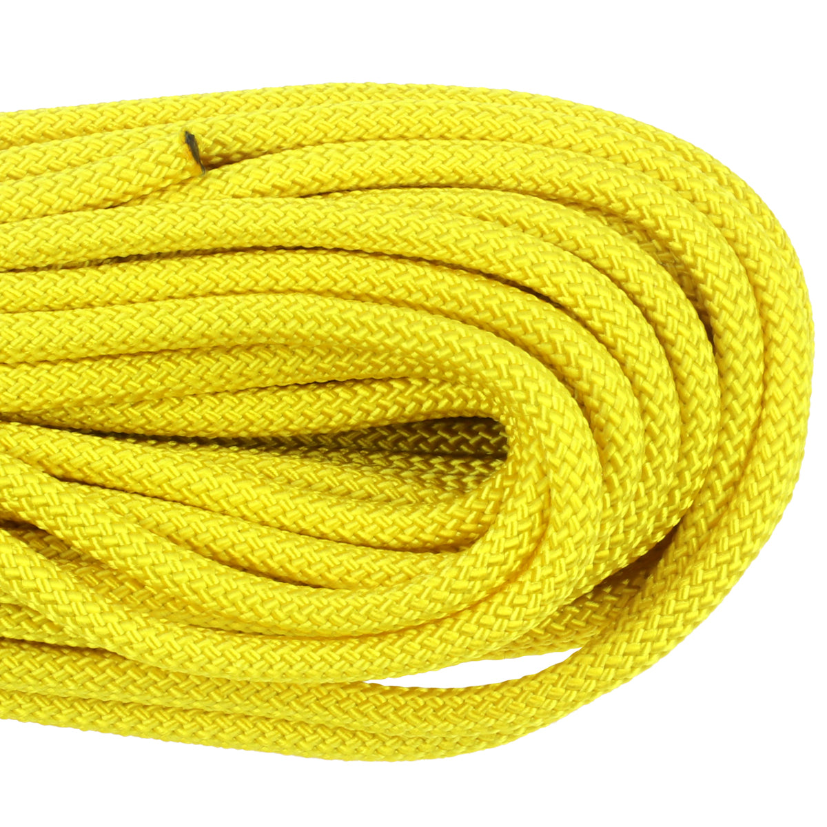 1 4 Golden Yellow Closeup