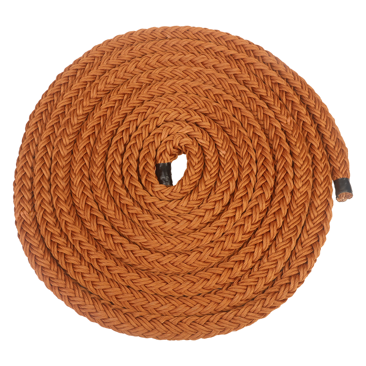 3 4 Copperhead coiled