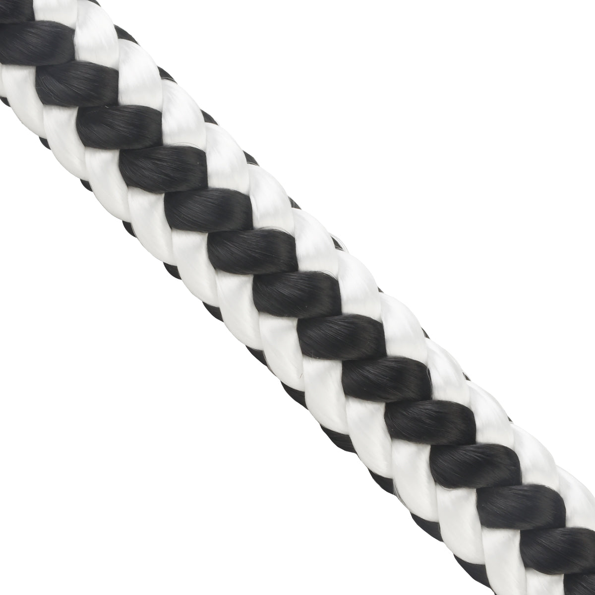 3_4SingleBraidWhitewBlackWeb_Ready