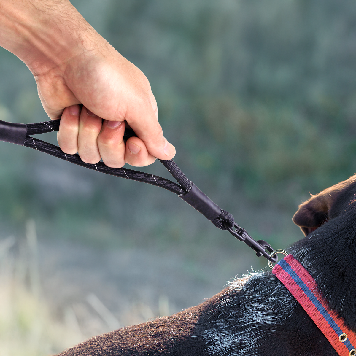 Closeup image of a hand using the control loop feature of the control leash