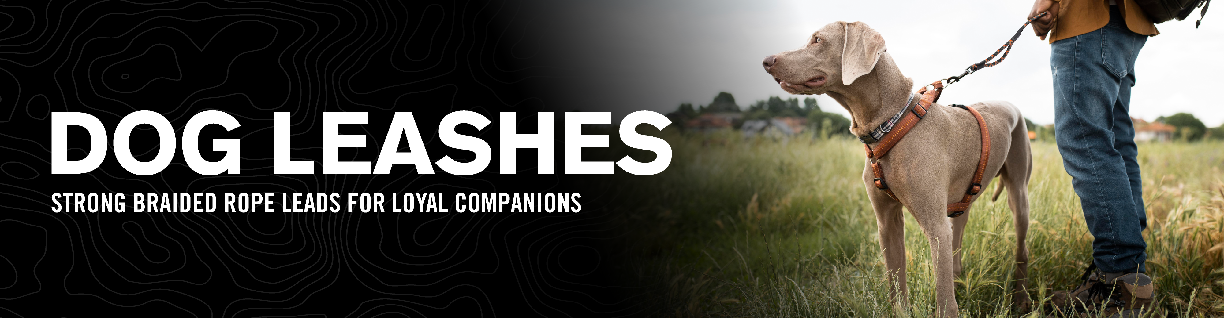Dog Leashes Thin Banner Web Ready