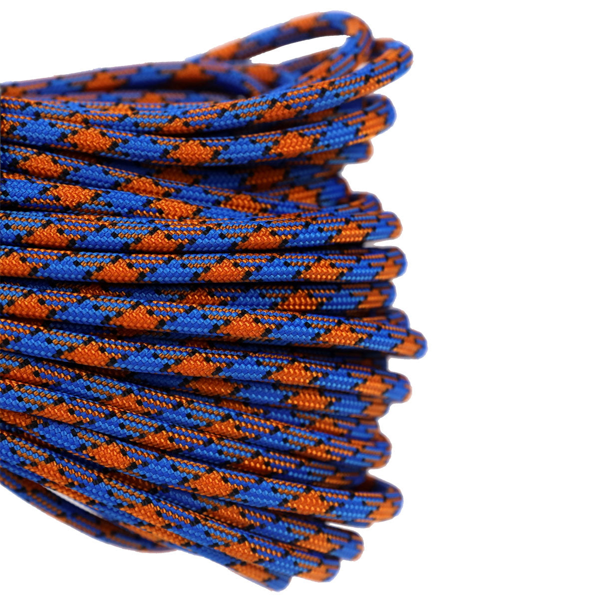 550 Poison Dart Frog Closeup