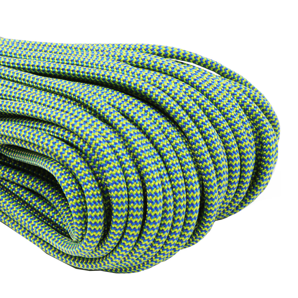 550 Paracord Blue Angel Fish Closeup