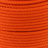 1 16 Orange Closeup