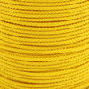 1 16 Golden Yellow Closeup