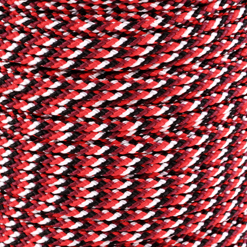 1 16 Red Snake Closeup