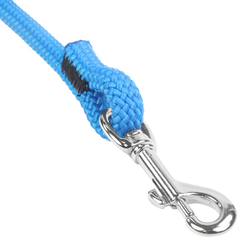1 2 Rope Blue Closeup