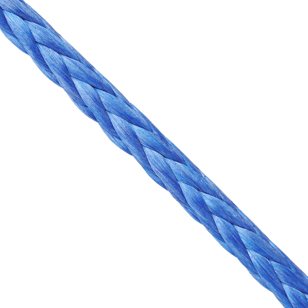 1 4 Paladin Winch Line Blue Super Closeup Web Ready
