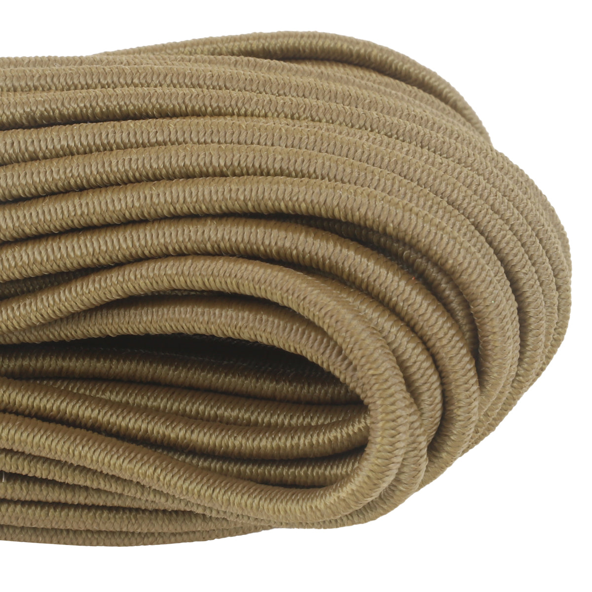 1 8 Bungee Coyote Closeup