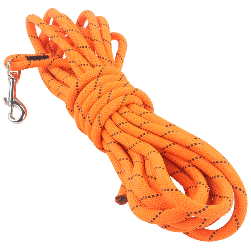 Orange leash hotsell