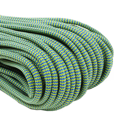 550 Paracord Blue Angel Fish Closeup